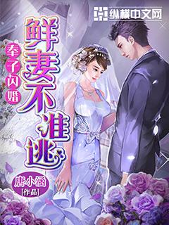 奉子闪婚:新妻不准逃